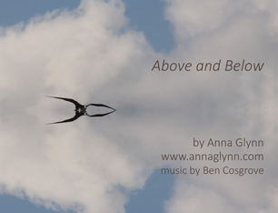 Above and Below' video art by Australian artist Anna Glynn