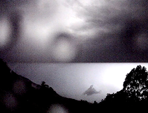 Interdisciplinary Collaborations art and science Australian artist Anna Glynn