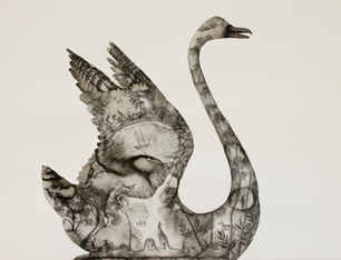 Provenance ink and pencil on paper by Anna Glynn