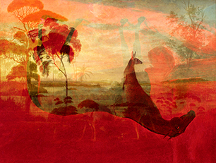 Anna Glynn Eurotipodes - Colonial Capsize