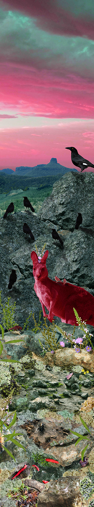 Art of Threatened Species Marooned 2 photomontage on chiffon